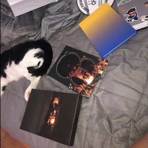 Bts Forever Young kpop album